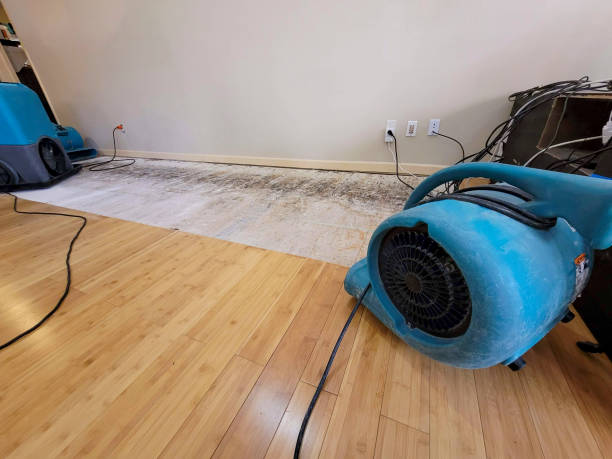 Professional Ceiling Water Damage Repair technician working in Fallston, NC